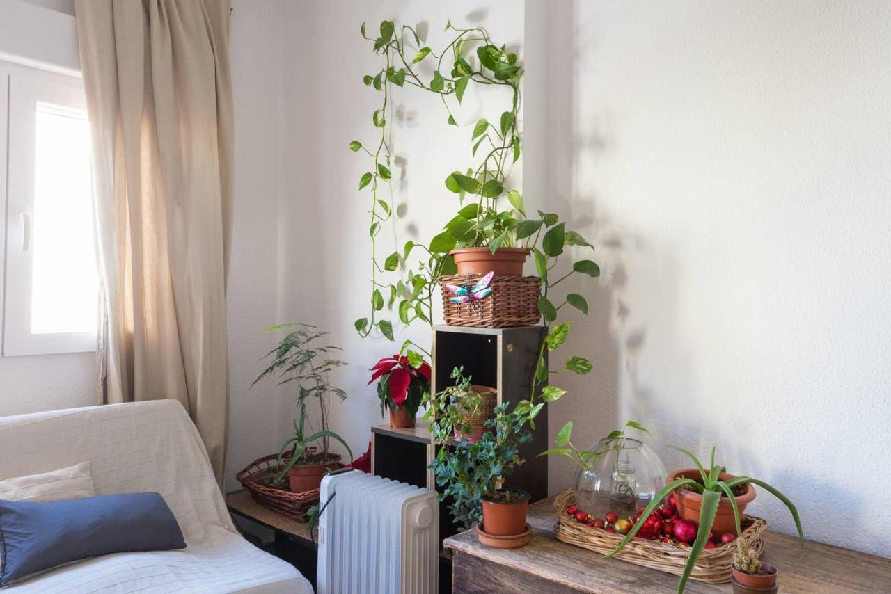 House Fata Lägenhet Málaga Exteriör bild